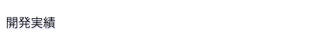 開発実績