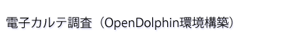 dqJeiOpenDolphin\zj